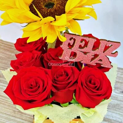 Regalo Soft con Girasol Regalo Soft con Girasol